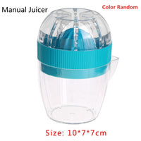 Mini Electric Fruit Mixer